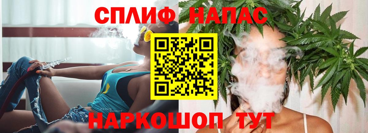 Конопля марихуана Гусев